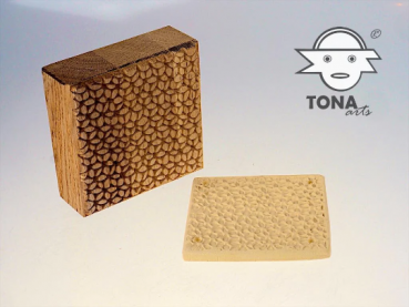 No.SL2 seamless plant cell structure